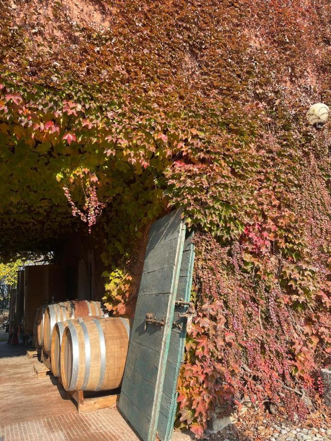 Tenuta Pizzone Wine Resort リヴァナッツァーノ エクステリア 写真
